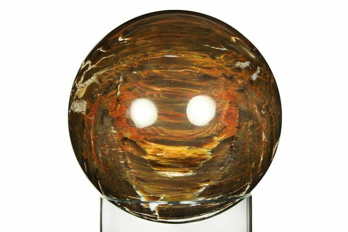 Colorful Polished Petrified Wood Sphere - Arizona #309212